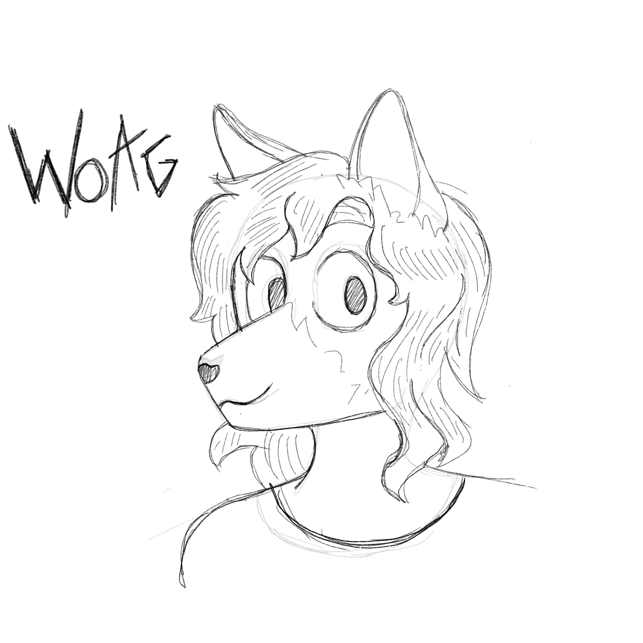 a pencil sketch of my fursona looking at the camera, with the word 'woag' in a sharp font to the side